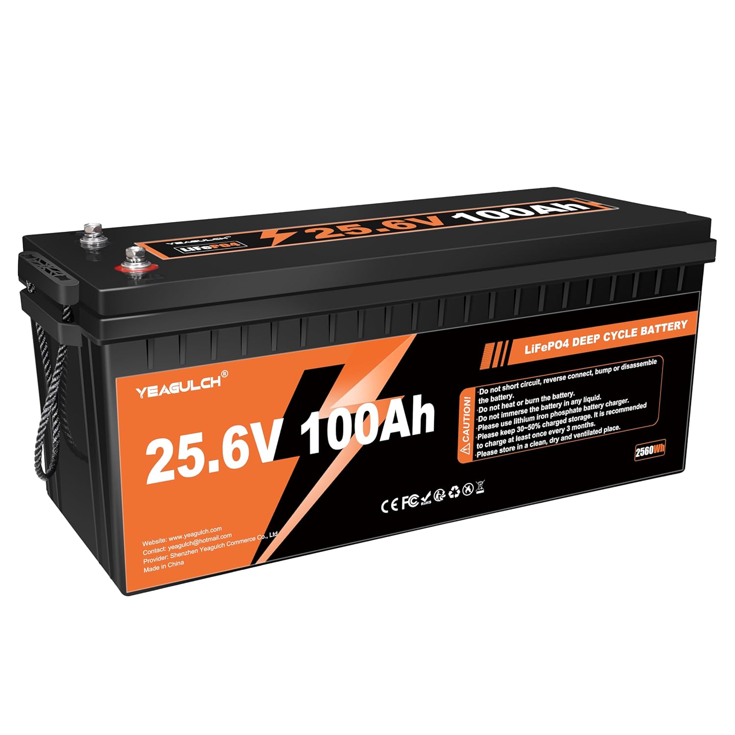 Lithium Battery 100Ah - 24V 100Ah LiFePO4 Lithium Battery Built-in