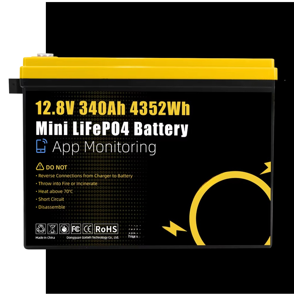 GoKWh Marine 12v Lifepo4 Lithi - Lithium Battery 100Ah recension och pris