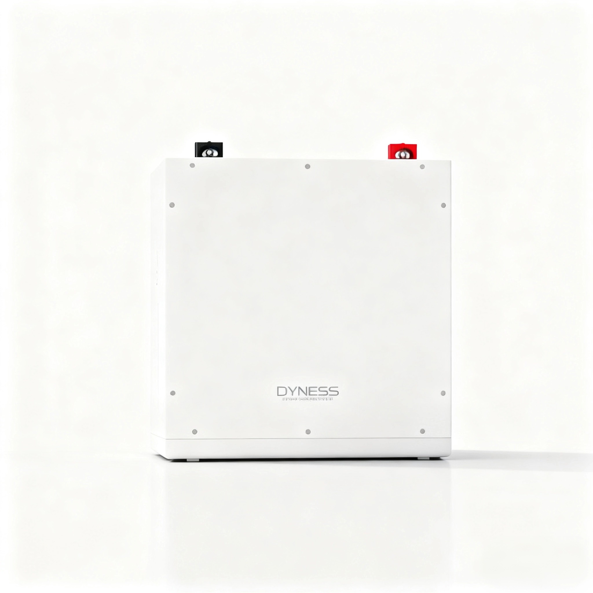 Dyness DL5.0C 1C Lithium Ion B - Lithium Battery 100Ah recension och pris