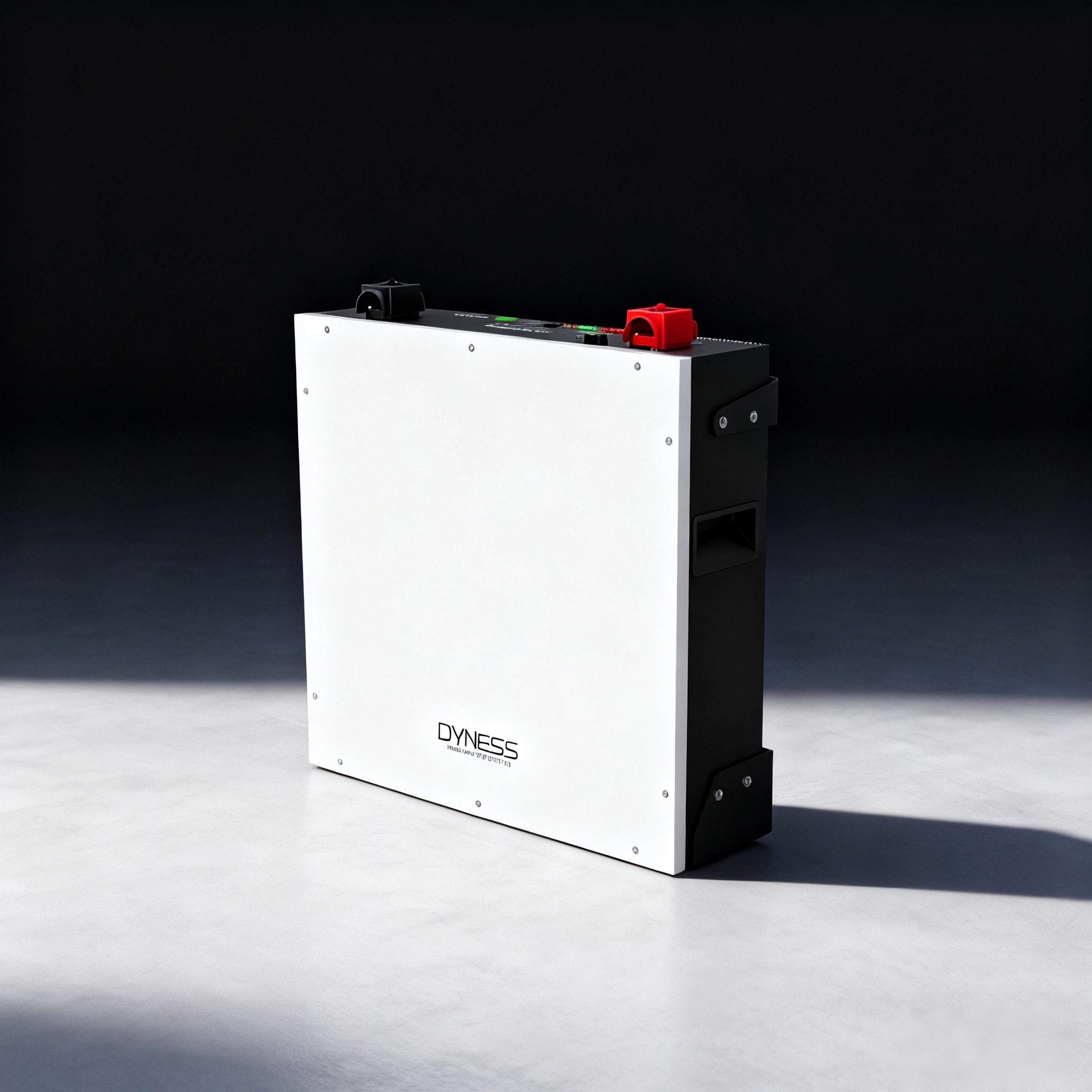 Dyness DL5.0C 1C Lithium Ion B - Lithium Battery 100Ah recension och pris