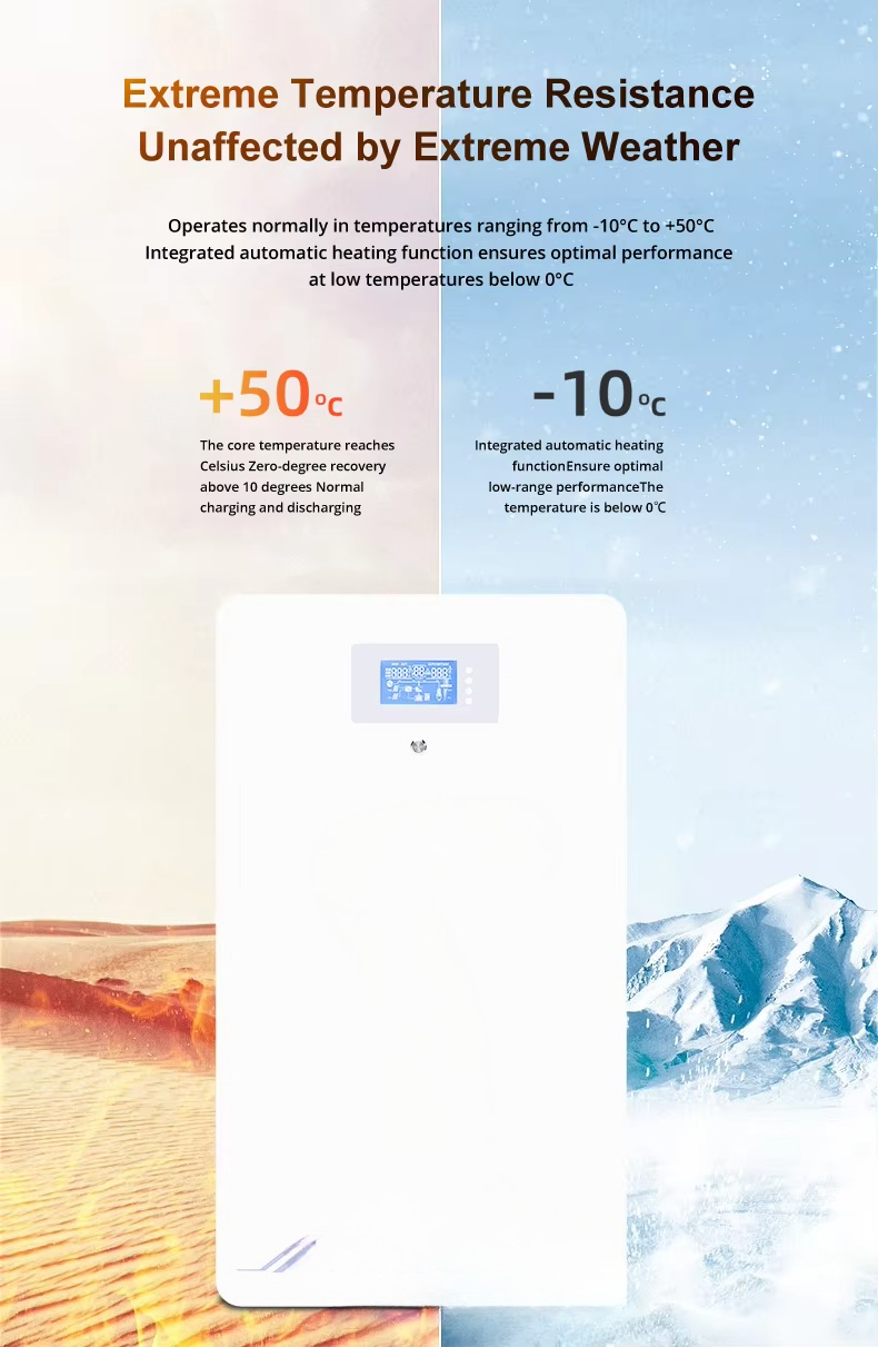 Wall-mounted 100Ah 200Ah 230Ah - Lithium Battery 100Ah recension och pris