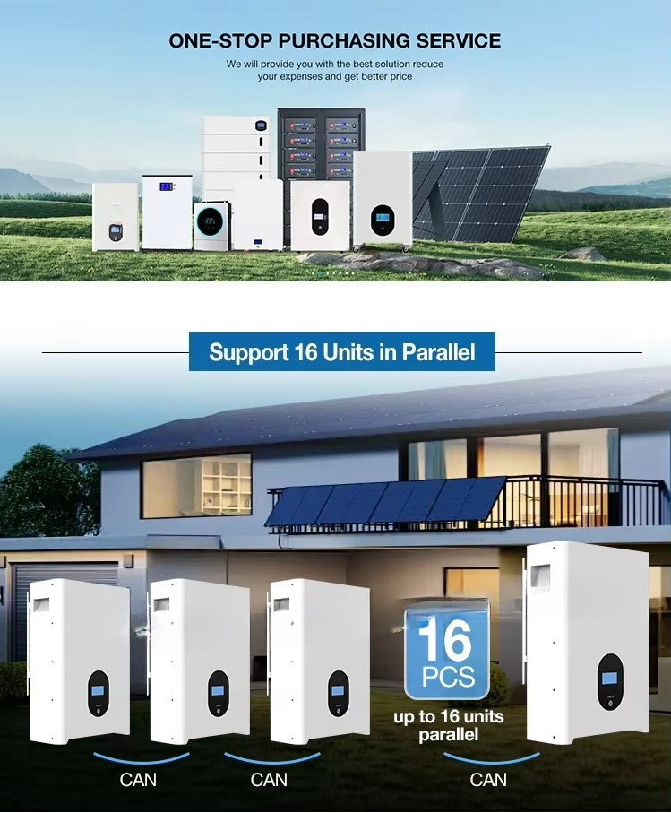 48V 51.2V 5kWh 10KWh 15kWh 16k - Lithium Battery 100Ah recension och pris